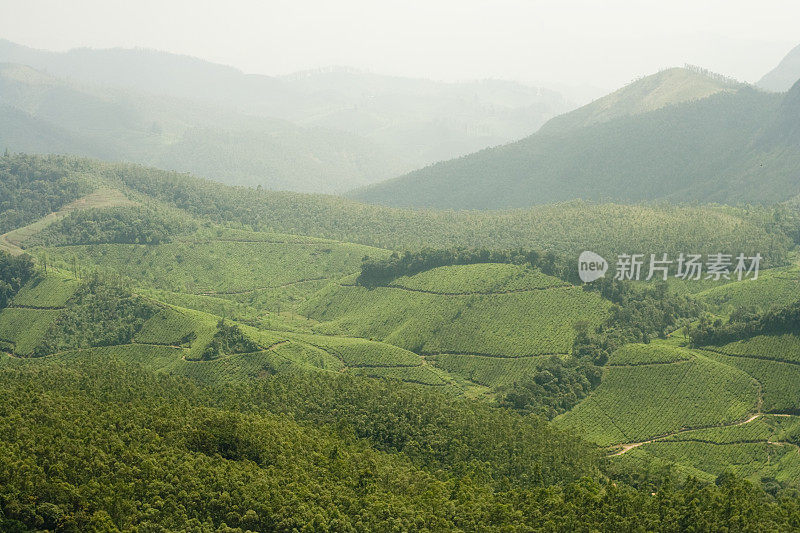 蒙纳 (喀拉拉邦)